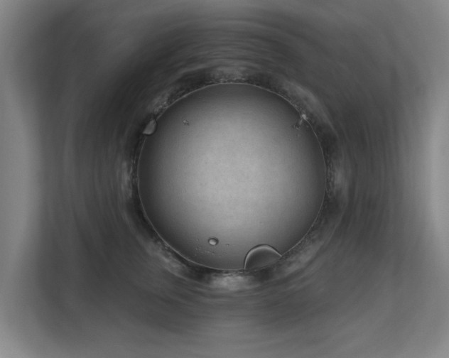 X0000110940759200906191230