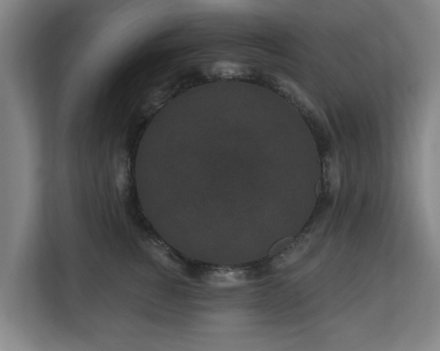 X0000110940760200906191230