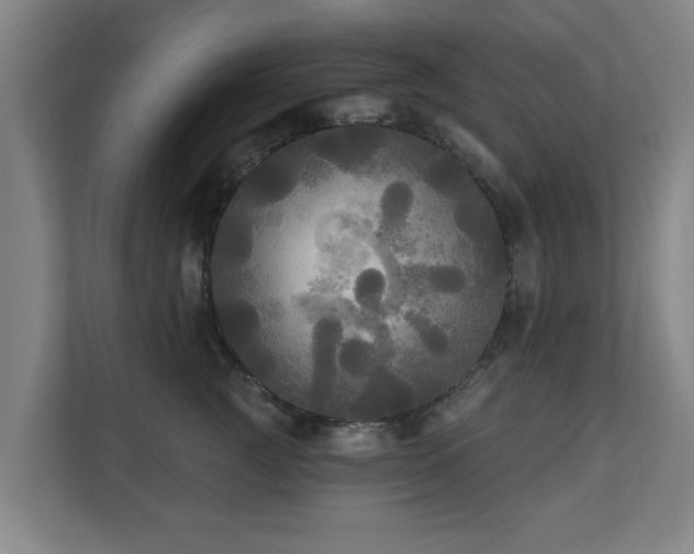 X0000110940761200906191230