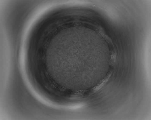 X0000110940765200906191230