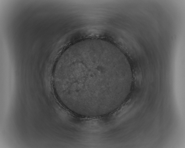 X0000110940769200906191230