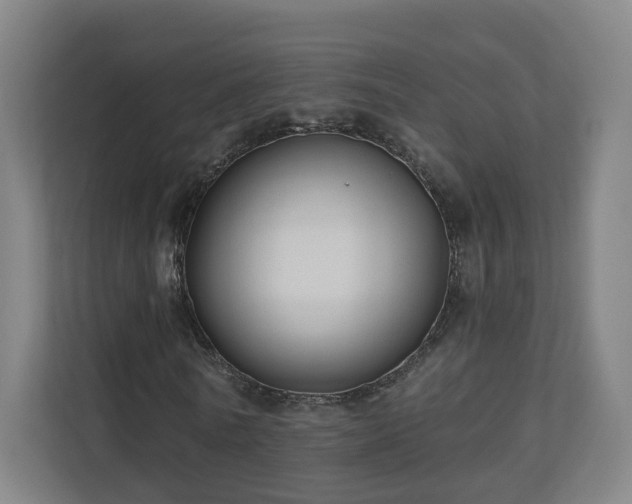 X0000110940770200906191230