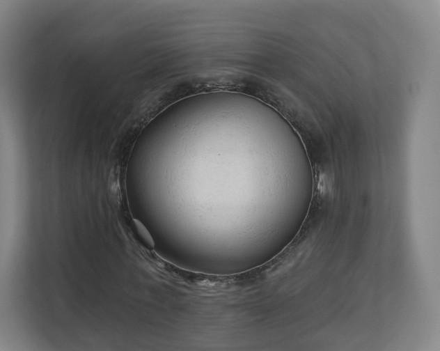 X0000110940771200906191230