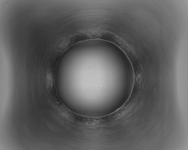 X0000110940772200906191230