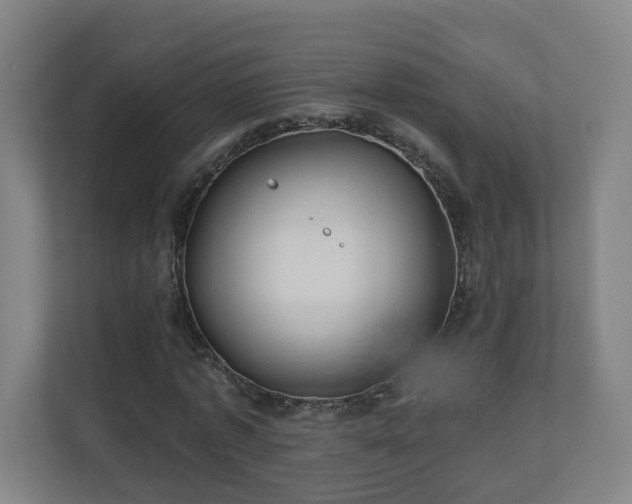 X0000110940773200906191230