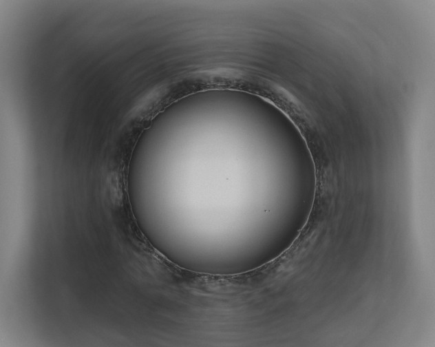 X0000110940774200906191230