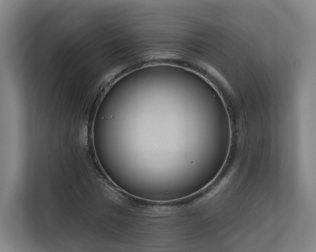 X0000110940777200906191230