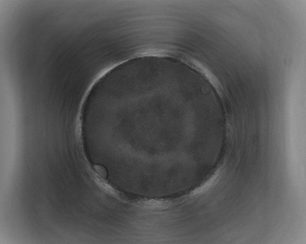 X0000110940779200906191230