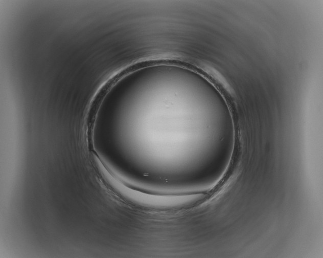 X0000110940781200906191230