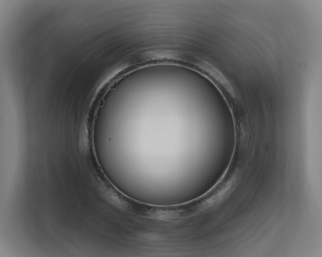 X0000110940782200906191230