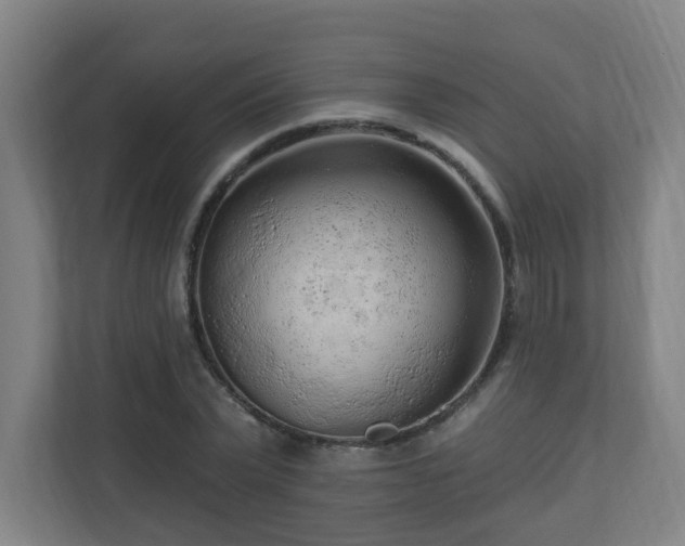 X0000110940783200906191230