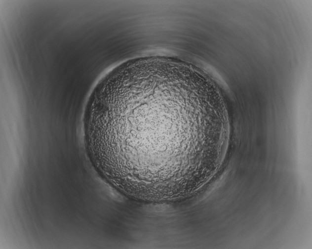 X0000110940784200906191230