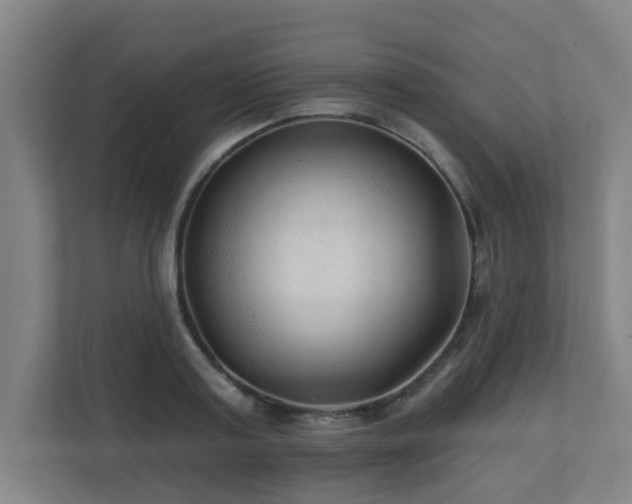 X0000110940795200906191229