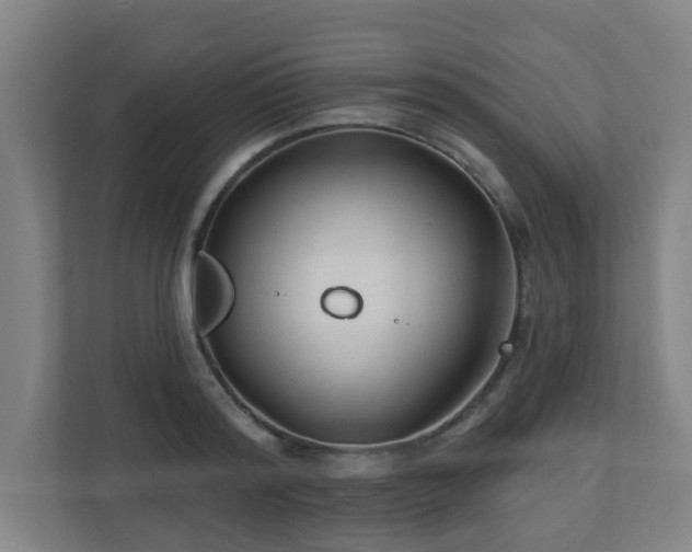 X0000110940796200906191229