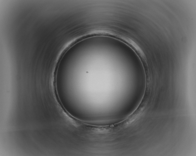 X0000110940799200906191229