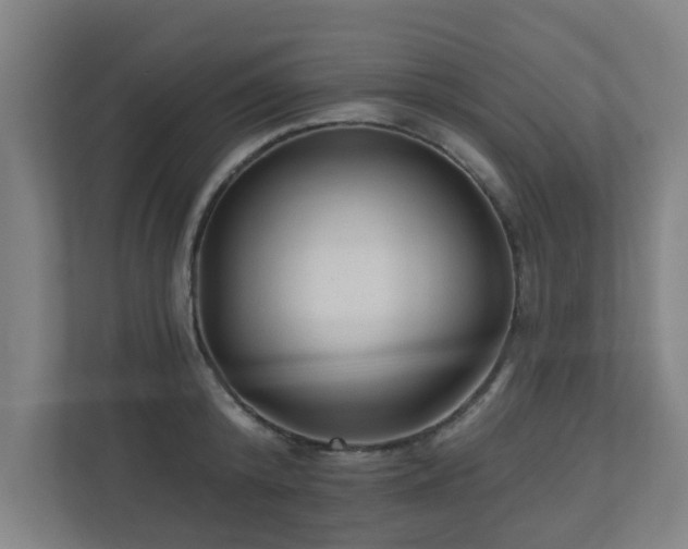 X0000110940800200906191229