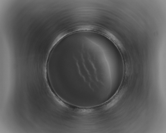 X0000110940802200906191229