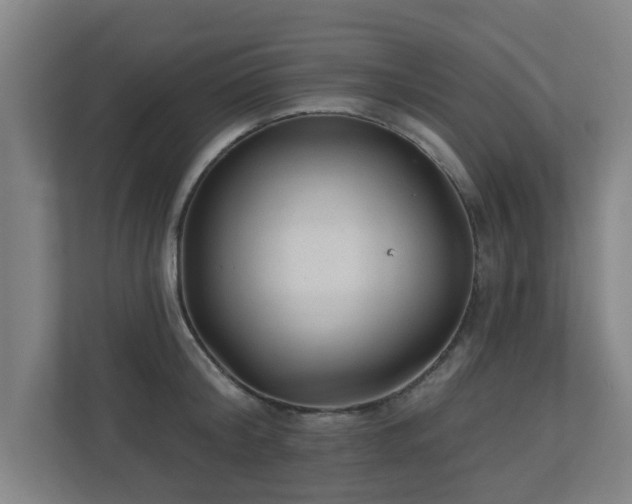 X0000110940804200906191229