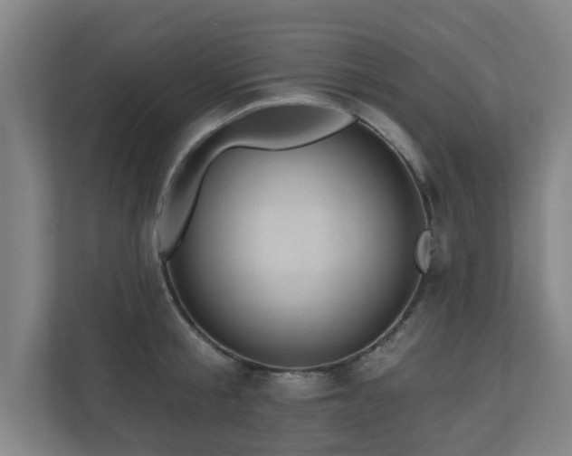 X0000110940805200906191229