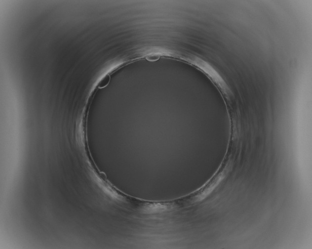 X0000110940806200906191229