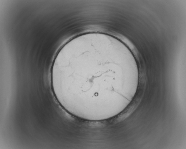 X0000110940807200906191229