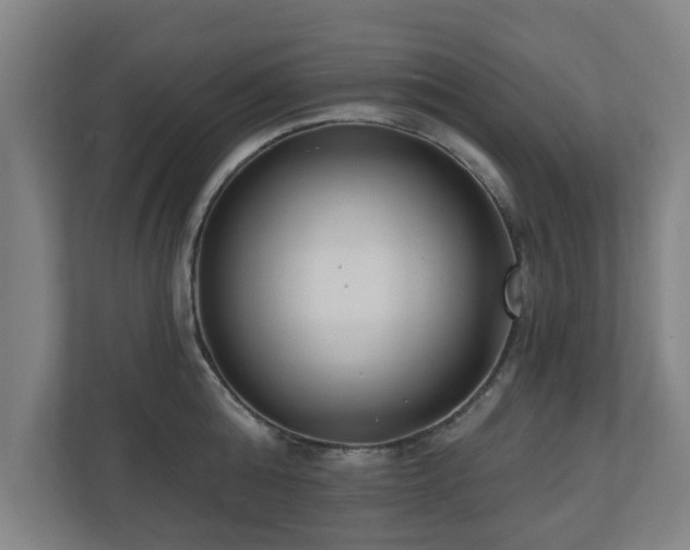 X0000110940808200906191229