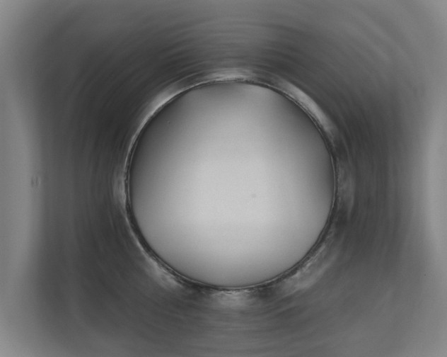 X0000110940810200906191229