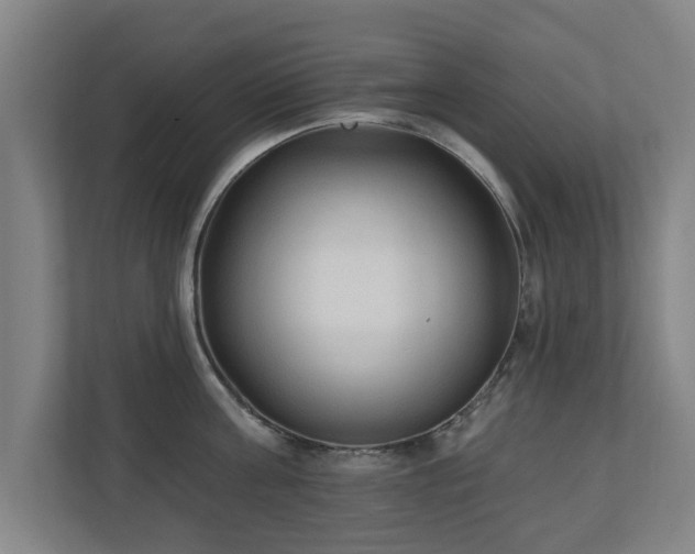 X0000110940811200906191229