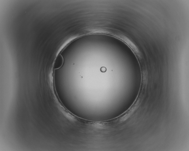 X0000110940814200906191229