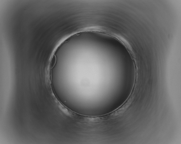 X0000110940816200906191229