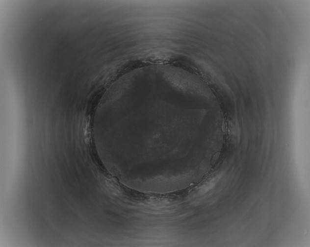 X0000110940818200906191229