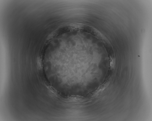 X0000110940819200906191229