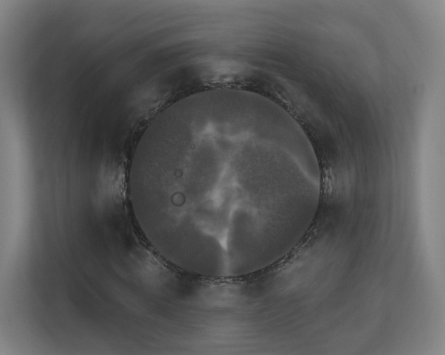 X0000110940820200906191229