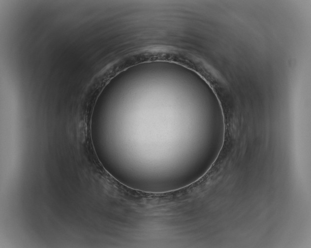 X0000110940821200906191229