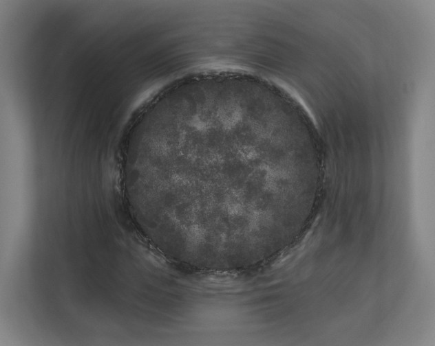 X0000110940823200906191229