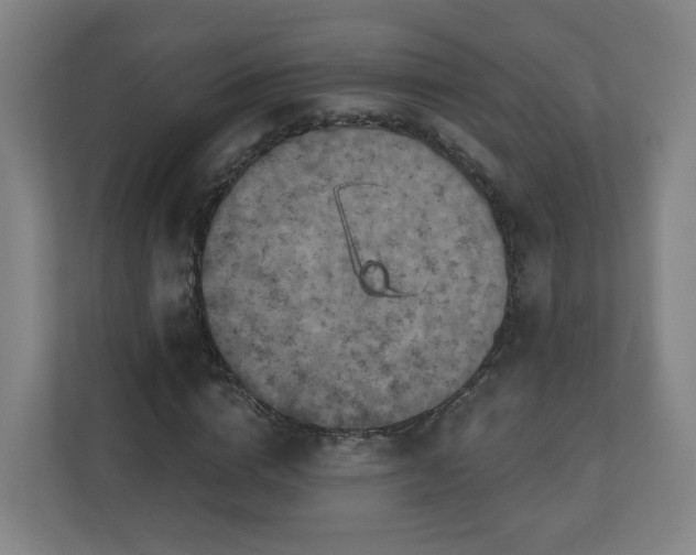 X0000110940824200906191229