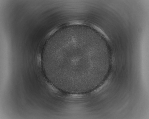 X0000110940825200906191229