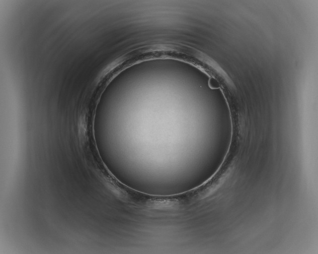 X0000110940826200906191229