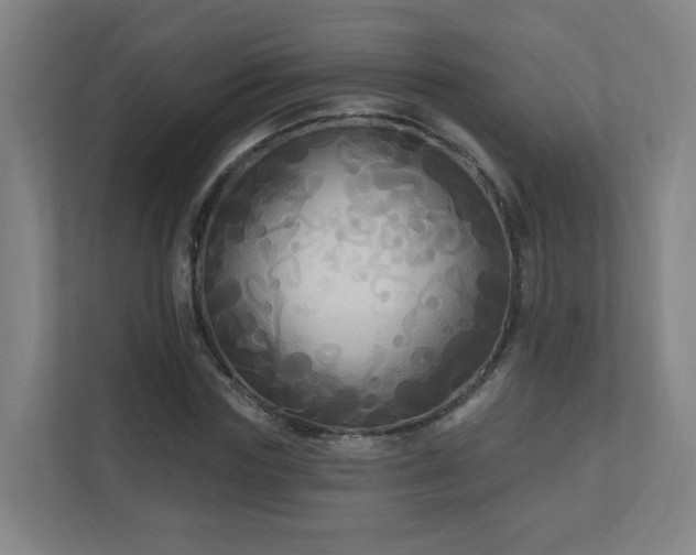 X0000110940827200906191229