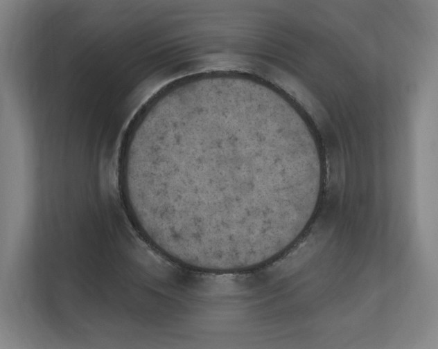 X0000110940828200906191229