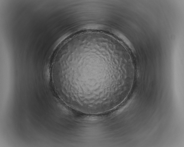 X0000110940829200906191229