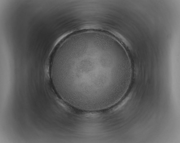 X0000110940830200906191229