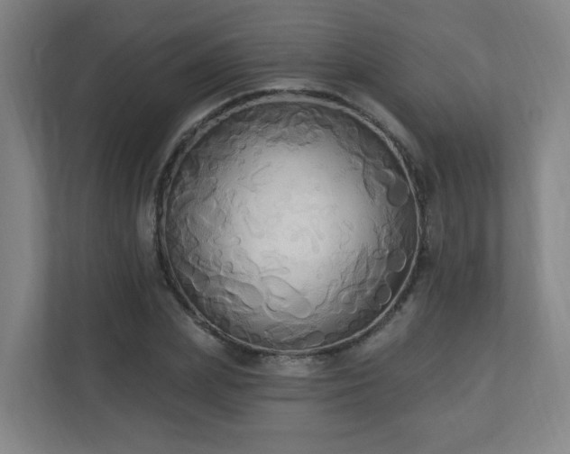 X0000110940831200906191229