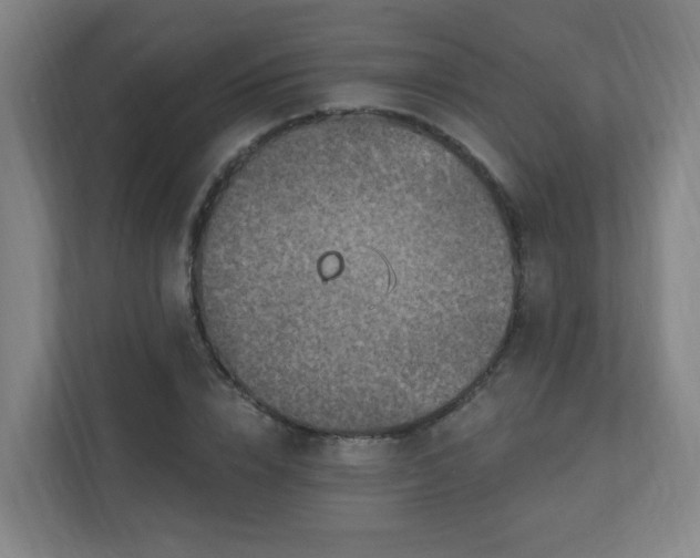 X0000110940832200906191229