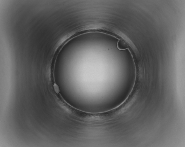 X0000110940834200906191229