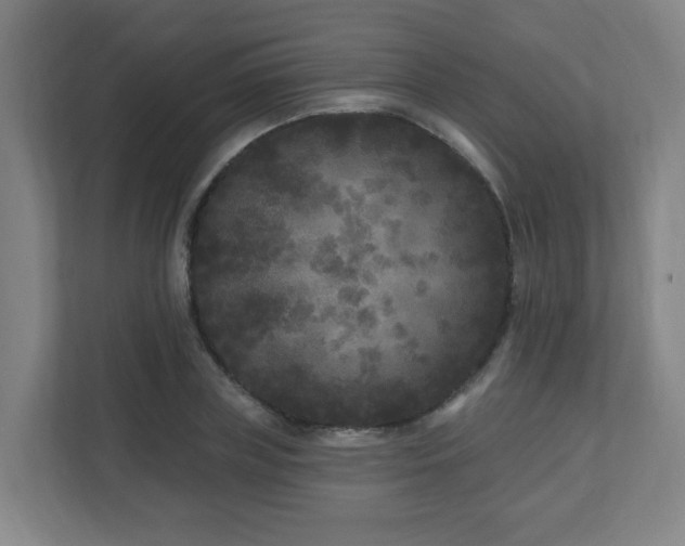 X0000110940835200906191229