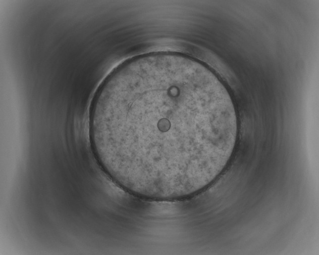 X0000110940836200906191229