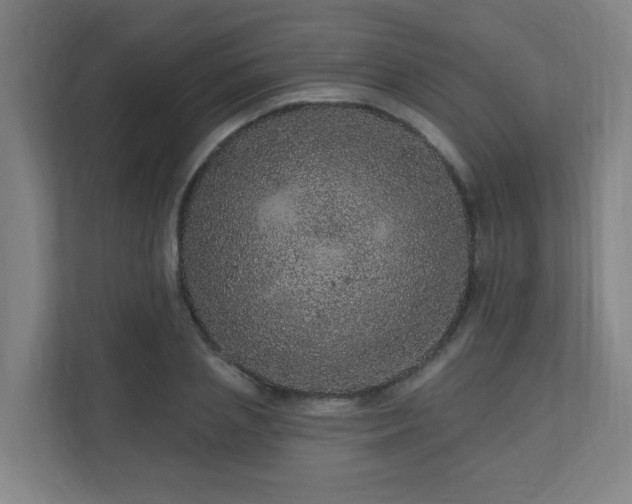 X0000110940837200906191229