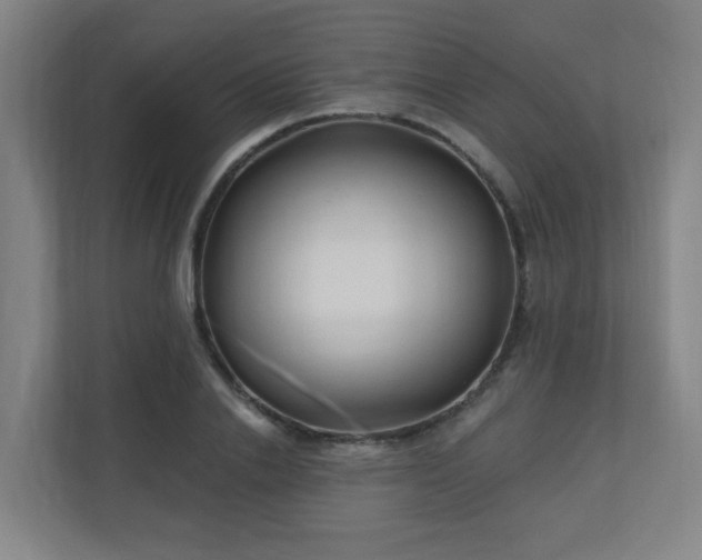 X0000110940838200906191229