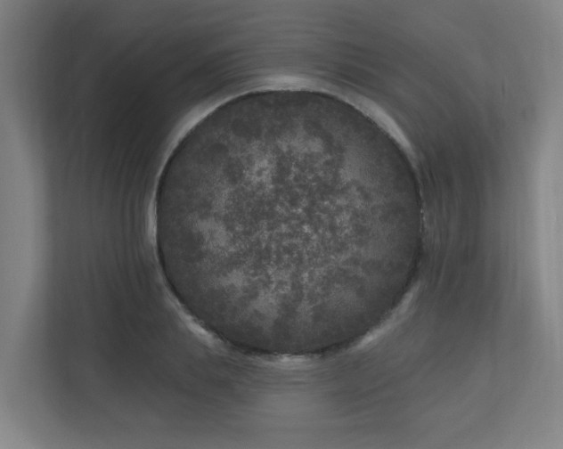 X0000110940839200906191229